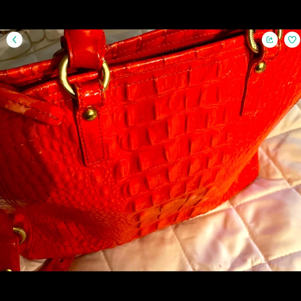 Brahmin Saychel